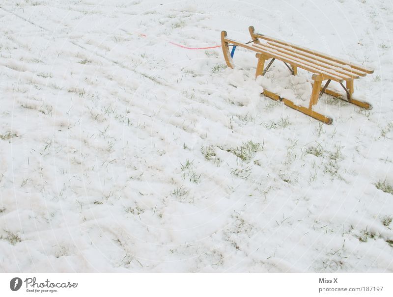 toboggan Playing Vacation & Travel Winter Snow Environment Weather Ice Frost Cold Idyll Joy Tradition Sleigh Colour photo Subdued colour Exterior shot Deserted