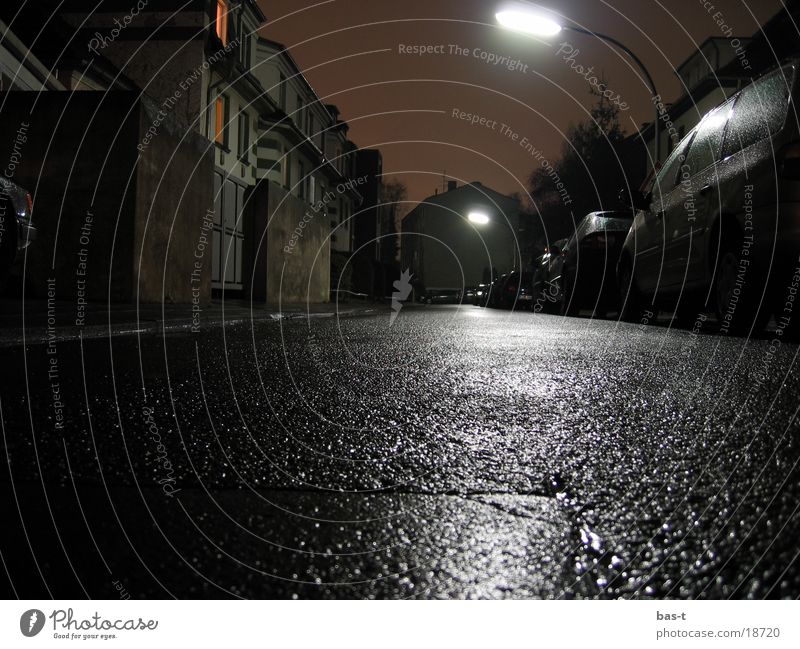 Toad's eye at night Night Long exposure Worm's-eye view Toad migration Wet Lantern Street frog's eye Painted frog caul