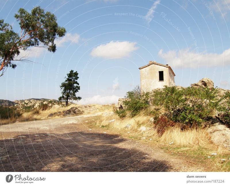 one window in the lonely house Nature Landscape Clouds Summer Beautiful weather Tree Grass Bushes Field Hill Corsica Europe Deserted