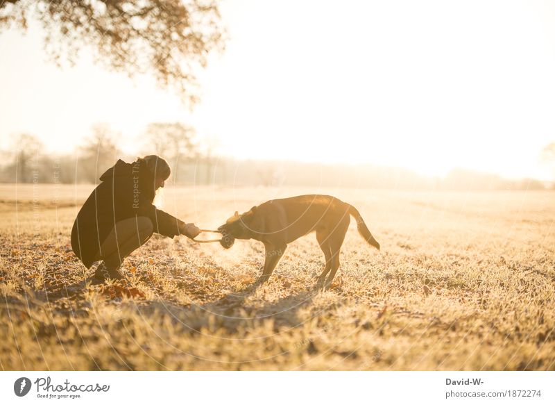 Mistress and dog playing together on a cold winter day Dog mistress Playing Woman Nature Sunlight Dog toy Cold Friendship Animal