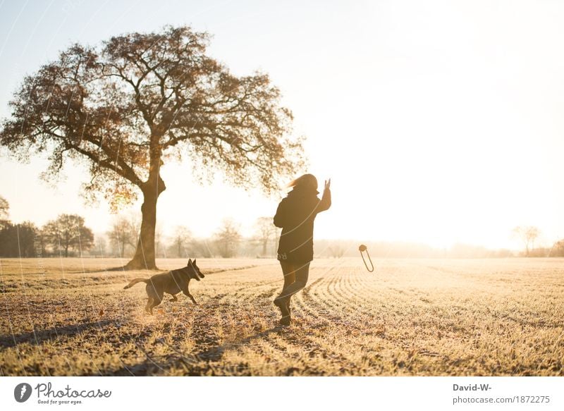 a cold morning Lifestyle Elegant Style Harmonious Contentment Leisure and hobbies Playing Hunting Human being Feminine Young woman Youth (Young adults) Woman