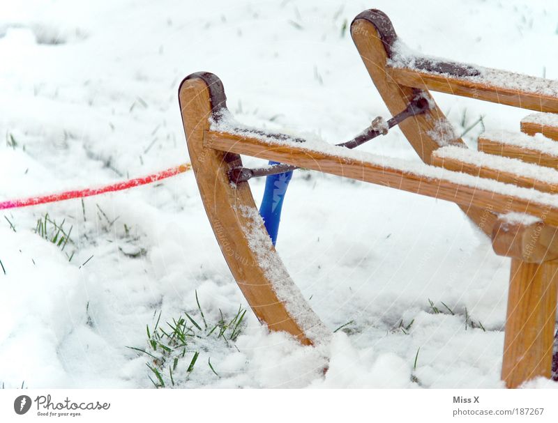 sugared Leisure and hobbies Playing Trip Winter Snow Garden Weather Beautiful weather Bad weather Ice Frost Simple Fresh Cold Joy Infancy Nostalgia Sleigh