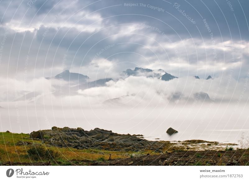 Coast of Norway sea in clouds of fog. Cloudy Nordic day Lifestyle Vacation & Travel Tourism Trip Adventure Far-off places Freedom Summer Summer vacation Beach