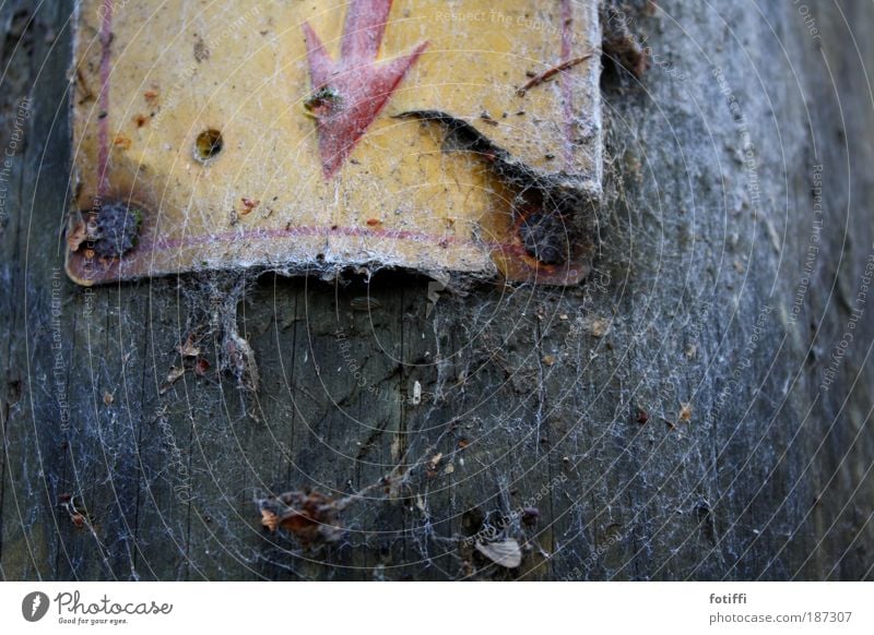 _/'---> Winter Lightning Wood Metal Rust Brown Yellow Red Thrifty Performance sign spiderweb spun in Electricity Electricity pylon Deserted Broken