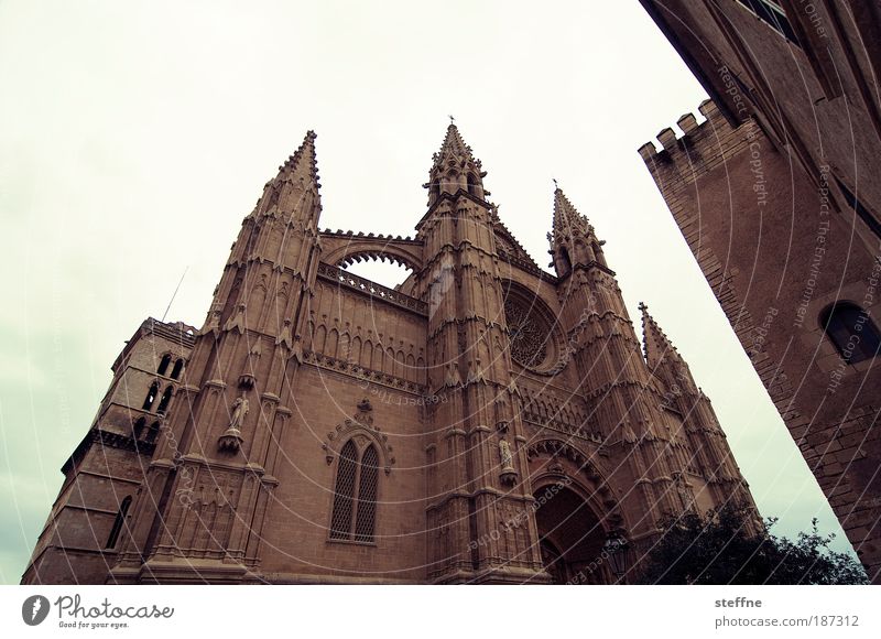 cathedral apex Palma de Majorca Spain Capital city Old town Church Dome Tourist Attraction Landmark Cathedral La Seu Religion and faith Colour photo