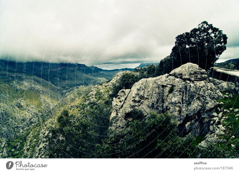 Majorcan hinterland Landscape Plant Clouds Storm clouds Weather Bad weather Wind Thunder and lightning Tree Rock Mountain Natural Blue Green Valley Colour photo