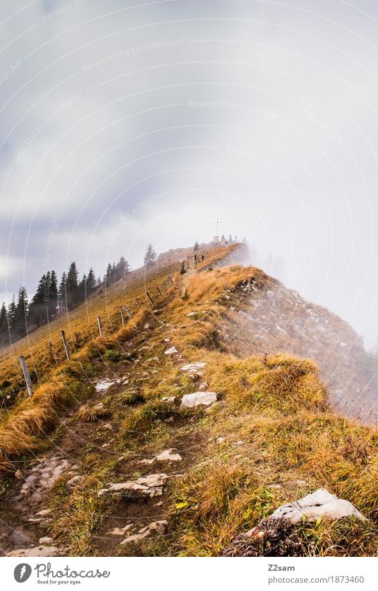 a long way Mountain Hiking Woman Adults Nature Landscape Clouds Sun Autumn Beautiful weather Fog Alps Peak Far-off places Gigantic Natural Loneliness Adventure