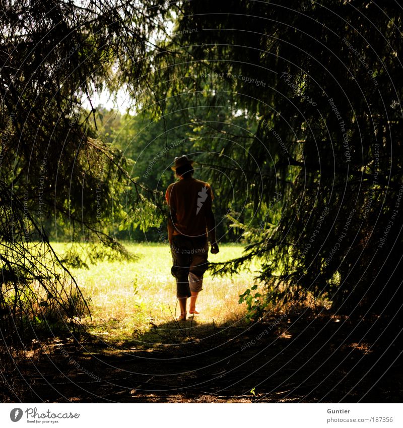 Sweet Summer Days Human being Masculine Young man Youth (Young adults) Man Adults Life 1 18 - 30 years Nature Plant Sky Sunlight Beautiful weather Tree Grass