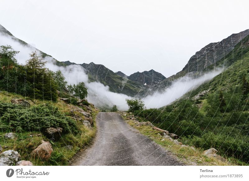 footpath Landscape Fog Mountain Alps Observe Hiking Authentic Fantastic Friendliness Infinity Natural Clean Athletic Dry Wild Spring fever Enthusiasm Romance