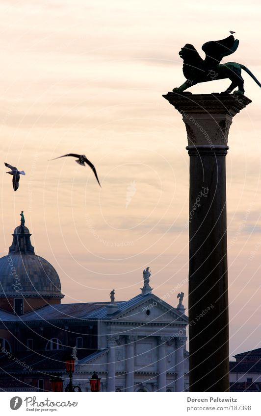 Lion in Venice at dusk Freedom City trip Sculpture Landscape Sunrise Sunset Italy Europe Port City Deserted House (Residential Structure) Manmade structures