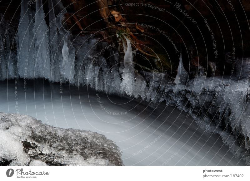 Flowing water below ice Environment Nature Elements Water Ice Frost Snow River bank Brook Movement White flowing motion rocks Frozen Curve Colour photo