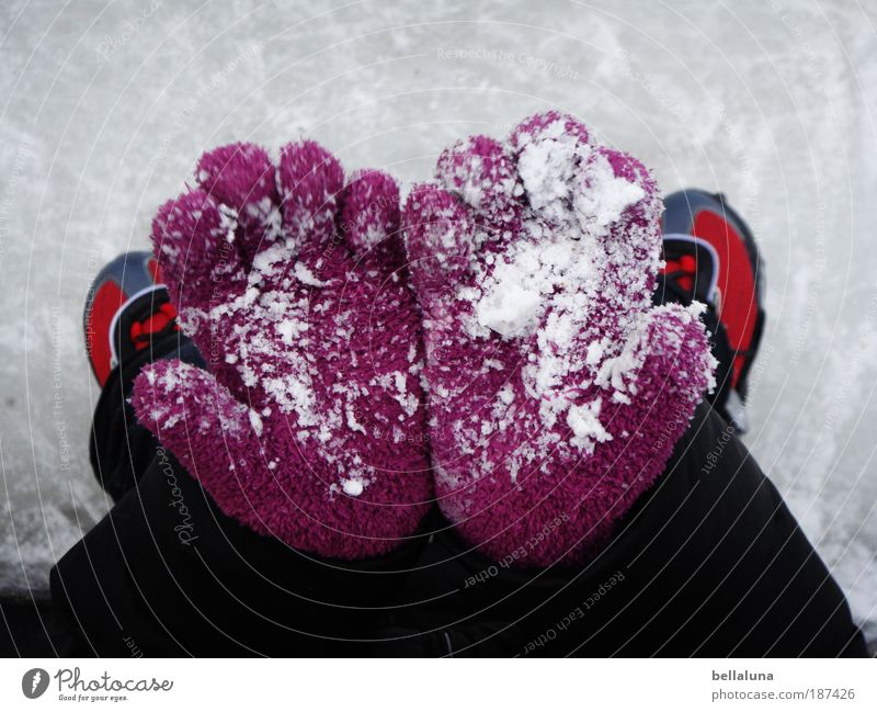 Look! Snow! Human being Child Girl Arm Hand Fingers Legs Feet 1 3 - 8 years Infancy Movement Joy Happy Happiness Contentment Enthusiasm Bravery Self-confident