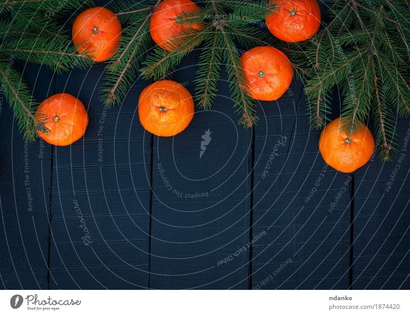 Orange tangerines with spruce branches on a black background Fruit Vegetarian diet Decoration Feasts & Celebrations Christmas & Advent Tree Wood Ornament Bright