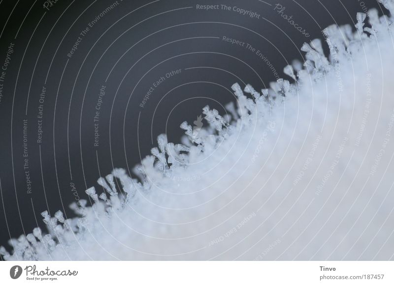 shortly before scraping off Environment Nature Water Winter Climate Climate change Ice Frost Sharp-edged Cold Point Gray White Bizarre Pure Symmetry Change