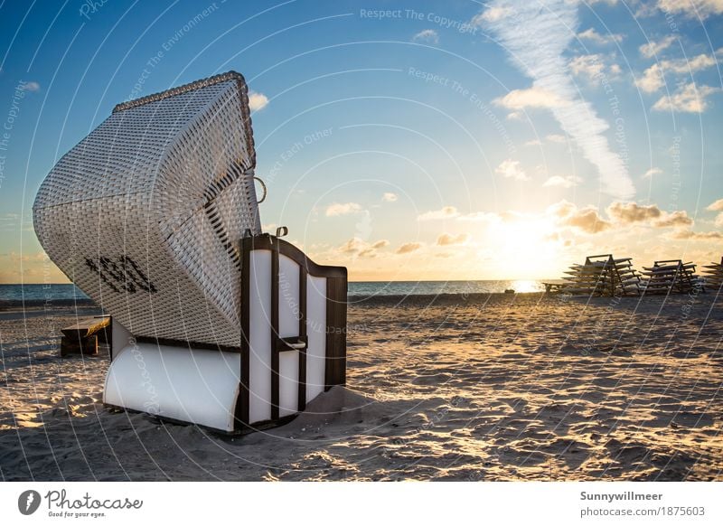 Sunrise at the Baltic Sea Environment Nature Landscape Sunset Summer Beautiful weather Coast Ocean Island To enjoy Vacation & Travel Authentic Maritime