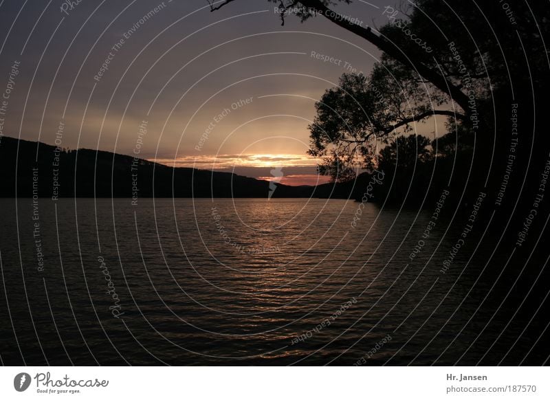 summer sun of the czech republic Nature Landscape Water Sky Sun Sunrise Sunset Lakeside Emotions Moody Joy Happy Hope Dream Colour photo Exterior shot Deserted