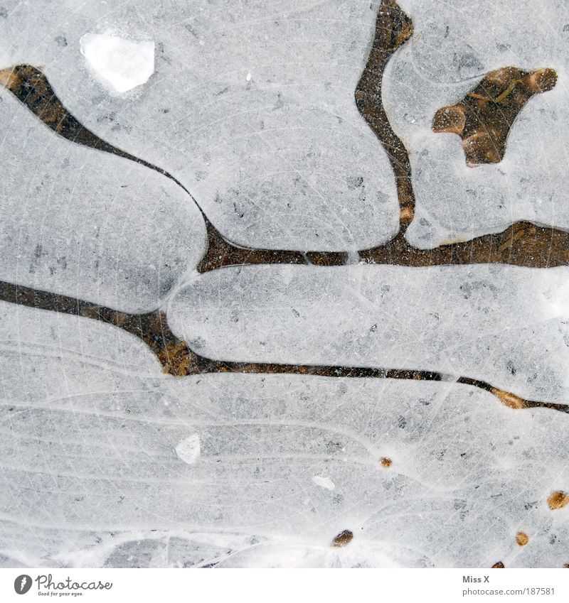 Lava lamp II Winter Snow Ice Frost Cold Circle Ice floe Puddle Colour photo Subdued colour Exterior shot Close-up Detail Deserted Copy Space top