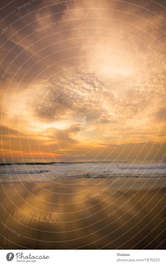 goldrush Nature Elements Earth Sand Air Water Sky Clouds Sun Sunrise Sunset Sunlight Summer Beautiful weather Waves Coast Beach Ocean Relaxation Illuminate