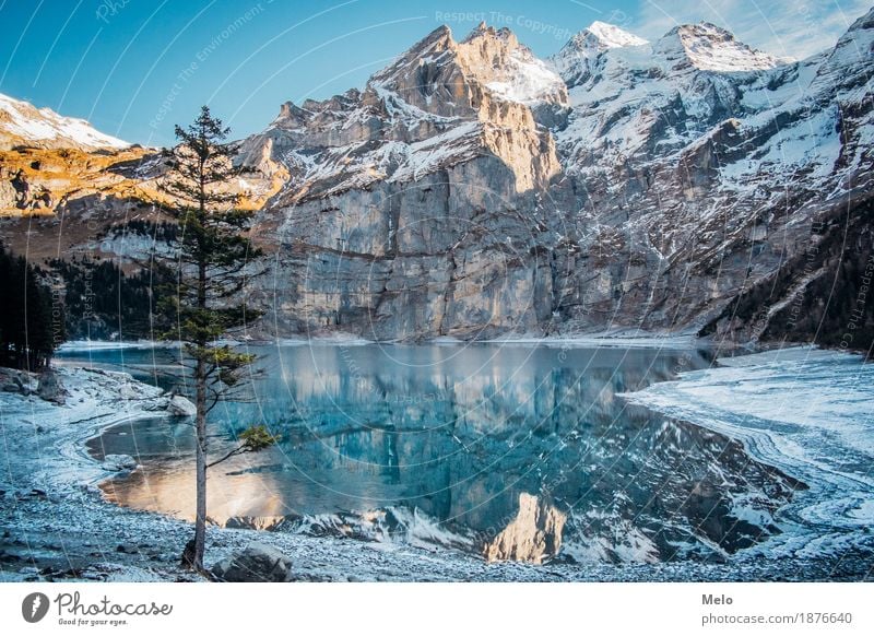 Lake Oeschinen II Nature Landscape Elements Water Autumn Winter Ice Frost Snow Hill Rock Alps Mountain Peak Snowcapped peak Glacier Lakeside mountain lake