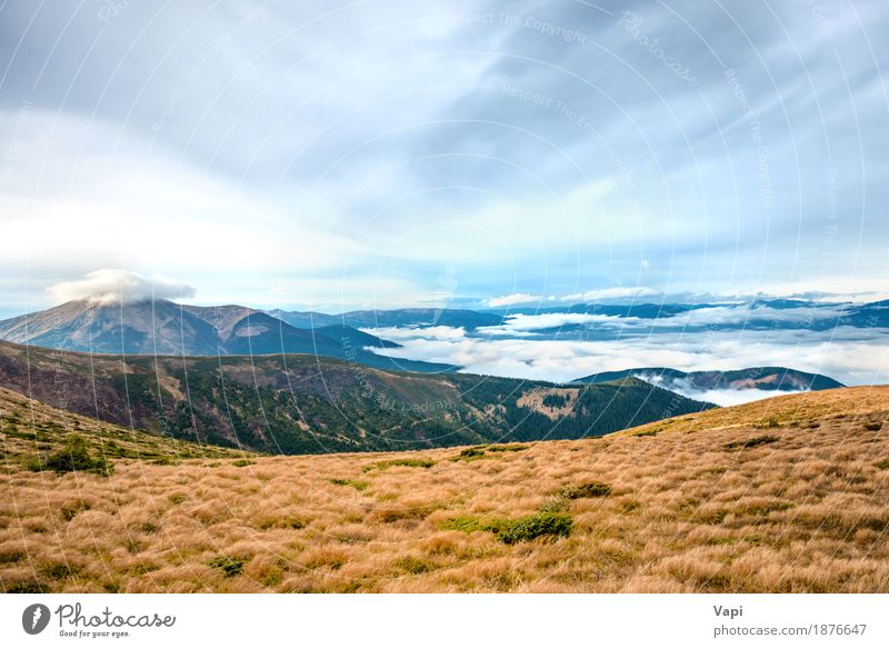 View from the mountain to beautiful landscape Vacation & Travel Tourism Summer Mountain Hiking Environment Nature Landscape Sky Clouds Horizon Autumn Fog Plant