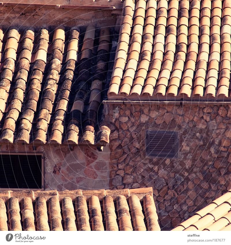 residential park Majorca House (Residential Structure) Detached house Facade Roof Stone Vacation & Travel Colour photo Exterior shot Pattern