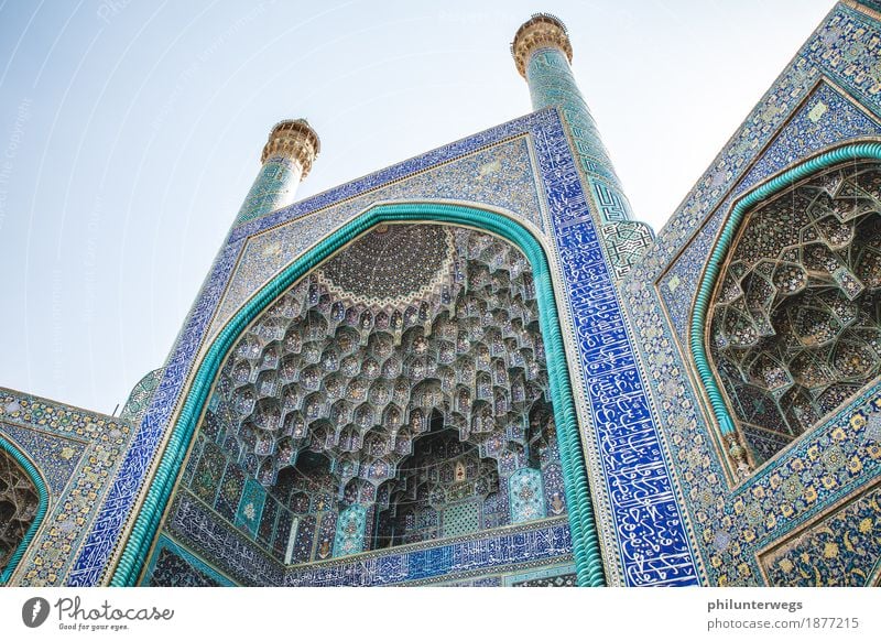 Someone's standing there on tiles. Vacation & Travel Tourism Trip Adventure Far-off places Freedom Sightseeing City trip Expedition Cloudless sky Tehran Shiraz