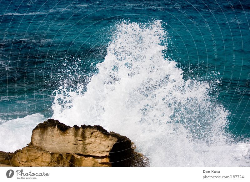 Let off steam! Summer Autumn Weather Gale Waves Coast Ocean Mediterranean sea Fight Inject White crest splash up Rock Surf rock in the surf Blue Stone Beat