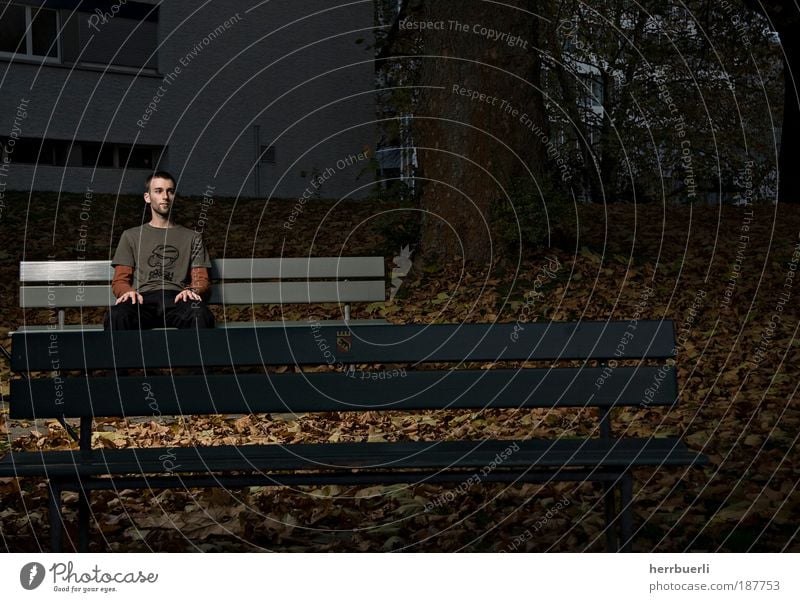 Park at night Leisure and hobbies Human being Masculine Young man Youth (Young adults) Adults Life 1 18 - 30 years Wait Brown Green Black Park bench Tree Leaf