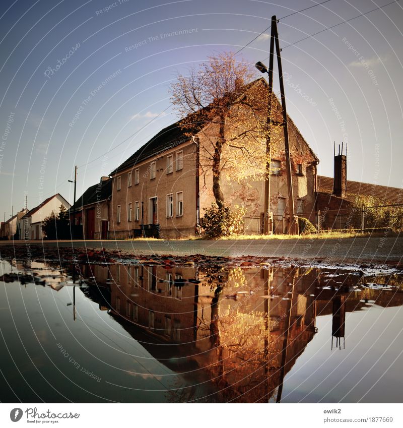 Living with lake view Energy industry Electricity pylon Cable Street lighting Water Cloudless sky Autumn Tree Teltow-Fläming district Germany Village