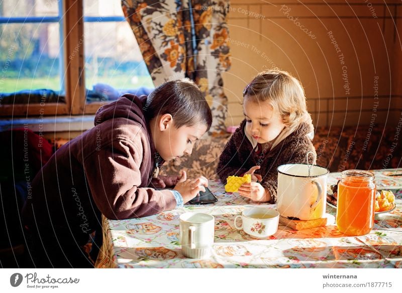 Brother and sister having a wonderful sunny afternoon Food Orange Dessert Honey Beverage Hot drink Tea Mug Freedom Table Room Human being Child Toddler Girl