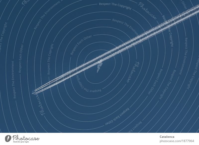 The salt of the weather kitchen; condensation trails of an airplane in the blue sky Vacation & Travel Tourism Environment Drops of water Sky only Climate