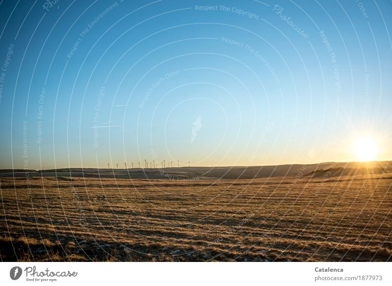 Energies, sun and wind turbines on the horizon Winter Hiking Technology Wind energy plant Environment Landscape Sky Sun Sunlight Moon Beautiful weather Grass