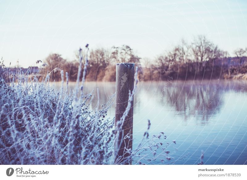 Ice crystal morning dew Life Vacation & Travel Trip Adventure Far-off places Freedom Winter Snow Hiking Cold Landscape Plant Animal Sunrise Sunset Climate Frost