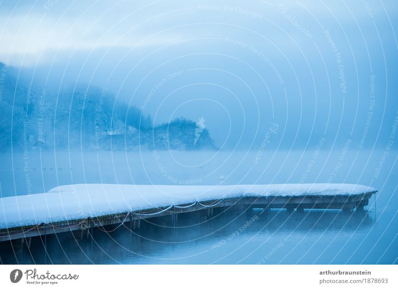 Snow-covered footbridge in winter Leisure and hobbies Fishing (Angle) Winter Swimming & Bathing Ice-skating Environment Nature Landscape Water Sky Horizon Fog