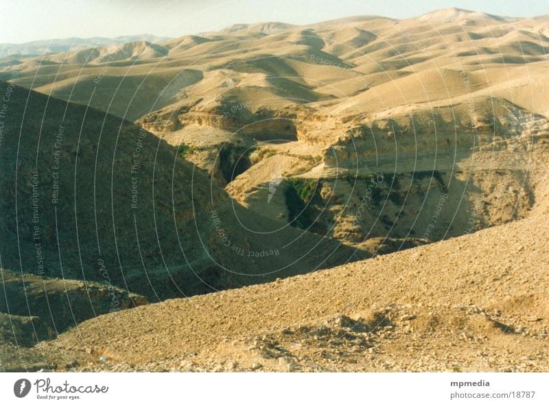 Desert landscape in Israel Sand Sun Warmth Dune Drought Furrow Valley Far-off places Erosion Deserted Exterior shot Colour photo