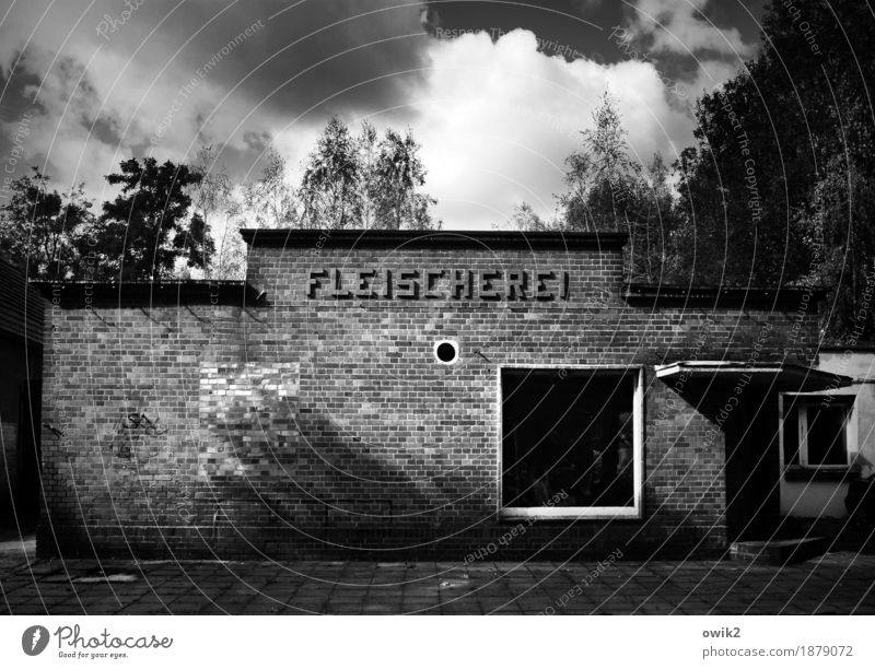 Left behind Sky Clouds Tree Lauta Saxony Germany Small Town Deserted House (Residential Structure) Building Architecture Sidewalk Butcher Wall (barrier)