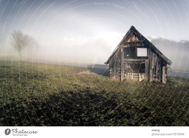 One of two Nature Landscape Autumn Beautiful weather Fog Meadow Alps Mountain Dachstein Peak Hut Old Sadness Decline Transience Hayrick hay barnyard Smooth