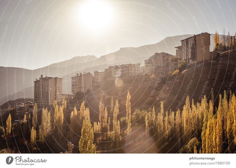 Iranian Highlands Environment Nature Sky Sun Sunlight Summer Climate Beautiful weather Tree Poplar Rock Mountain Town Skyline Deserted