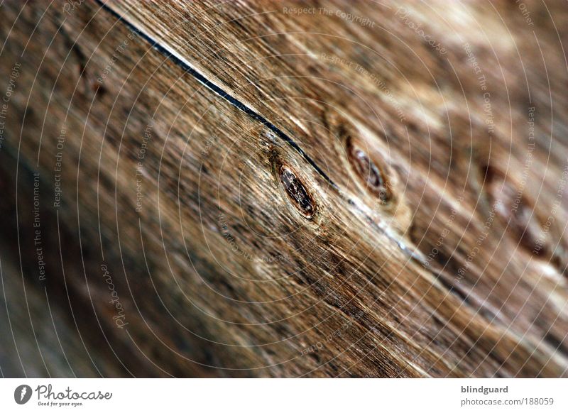 Woodeye Be Careful Old Gloomy Knothole Structures and shapes Background picture Brittle Wall (building) Barrier Joiner Craft (trade) Colour photo Detail