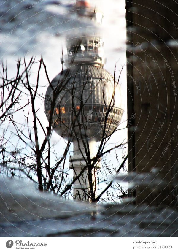 Puddle-Alex Berlin TV Tower Deserted Manmade structures Architecture Tourist Attraction Landmark Monument Stone Glass Metal Steel Hip & trendy Historic Tall