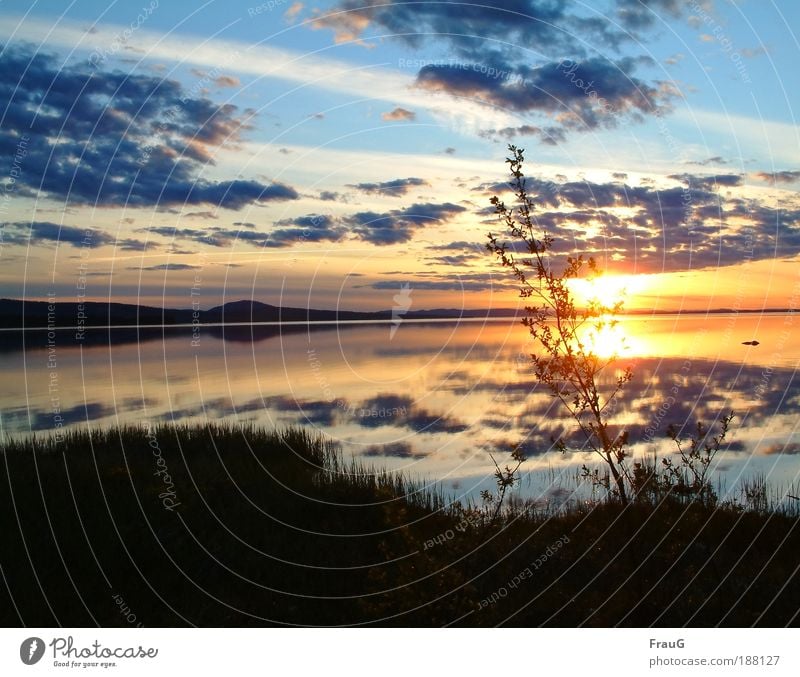 Sunset Relaxation Calm Sunrise Lake Water To enjoy Illuminate Beautiful Blue Gold Moody Contentment Colour Peace Horizon Nature Environment Sweden Colour photo