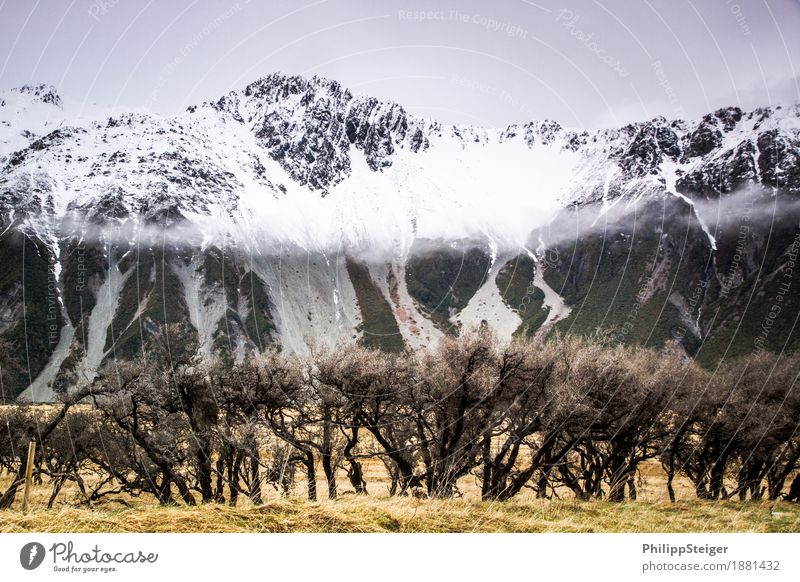 Mount Cook National Park Nature Landscape Clouds Autumn Climate Bad weather Fog Snow Bushes Wild plant Mountain Snowcapped peak Vacation & Travel Gigantic Idyll