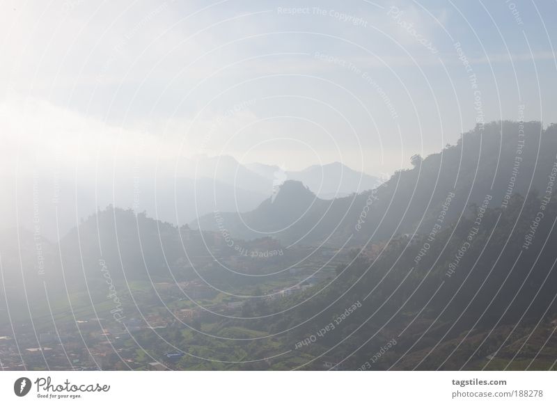 IN THE CLOUDS OF TENERIFFA Tenerife Clouds Fog Haze Bad weather Mountain Hilltop Far-off places Wanderlust Vacation & Travel Travel photography travel Sun