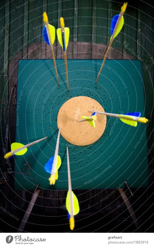 Hit the target Target Strike Arrow Archery Quality Precision Performance Success Effort Bow Ambitious Impact Reach Accuracy Talented Focal point Focus on