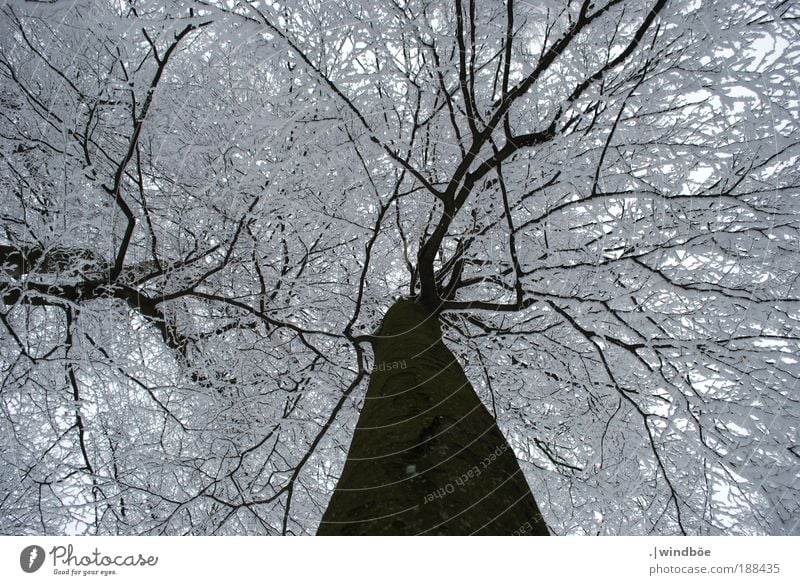 ENCHANTED Nature Landscape Air Water Sky Winter Climate Weather Ice Frost Snow Tree Forest Mountain Sauerland Relaxation Freeze Fantastic Happiness Cold Natural