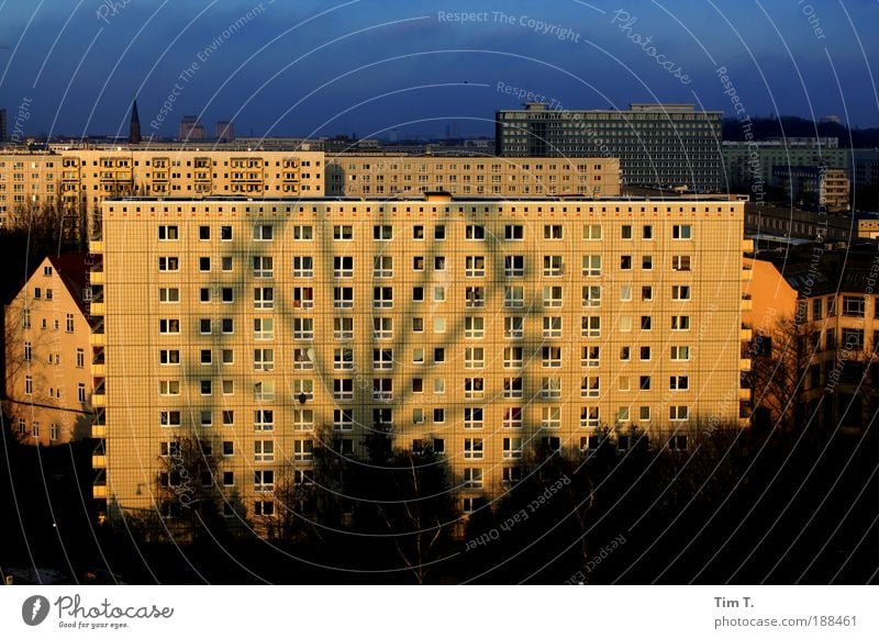 Ferris wheel Fairs & Carnivals Berlin Germany Europe Town Capital city Skyline High-rise Manmade structures Building Facade Looking Colour photo Exterior shot