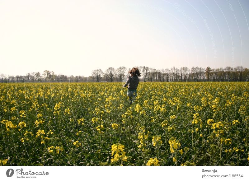 Run! Joy Happy Fragrance Freedom Summer Sun Young woman Youth (Young adults) Woman Adults Hair and hairstyles Back 13 - 18 years Child Environment Nature