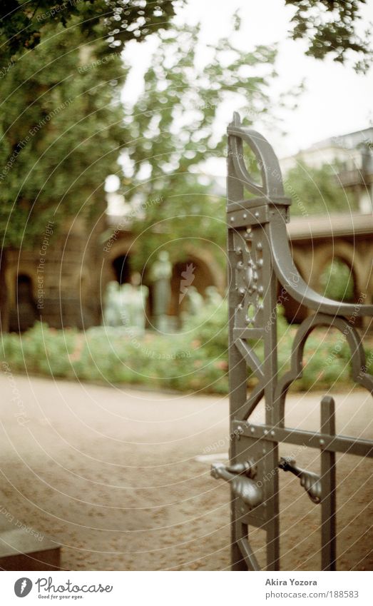 Still open Dresden striesen Church Architecture Wall (barrier) Wall (building) Door Gate reconciliation church Observe Blossoming Think Communicate Old Esthetic