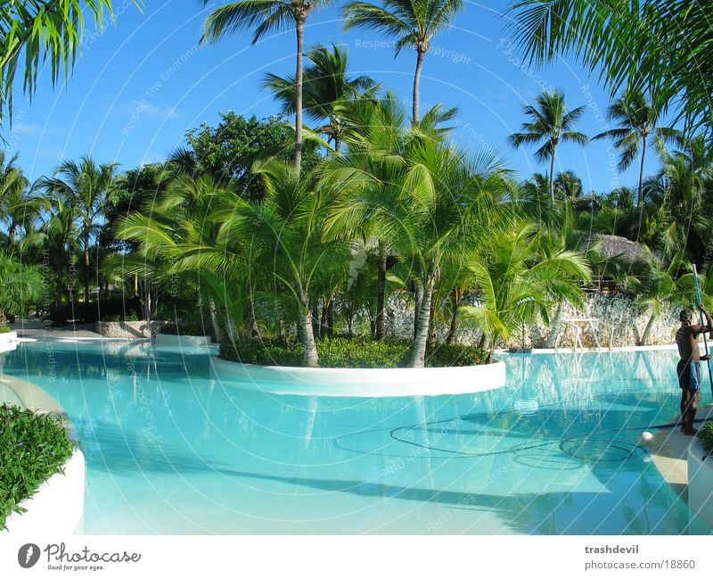 pool Swimming pool Palm tree Cuba Graffiti Colour