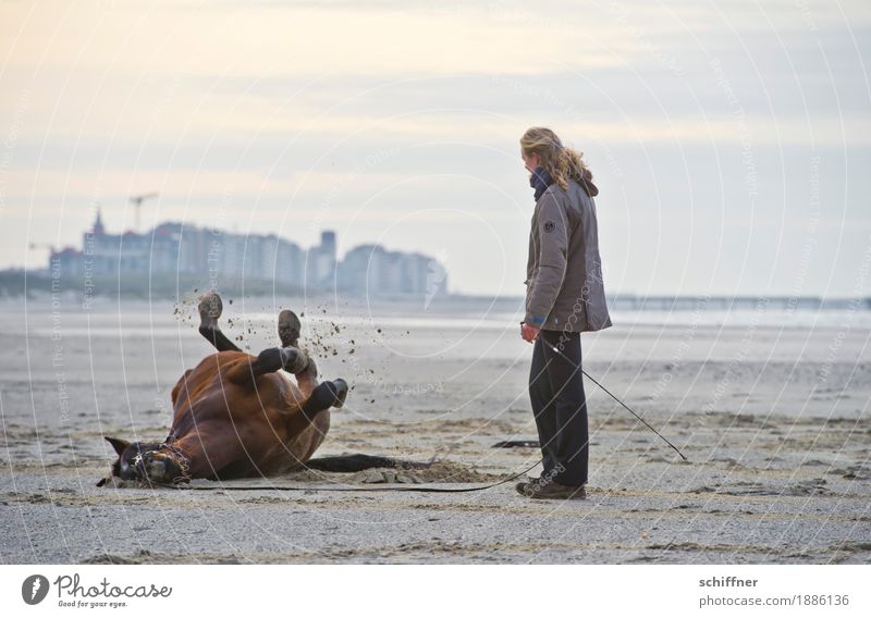 Enjoy | Belgian Back Peeling Human being Feminine Woman Adults 1 Beach House (Residential Structure) Animal Horse Lie Stand To enjoy Supine position Friction